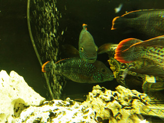 Similar image 22181220