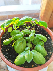 Similar image 22181223