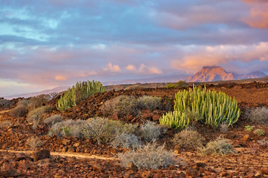 Similar image 22178549