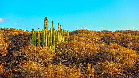 Similar image 22178550