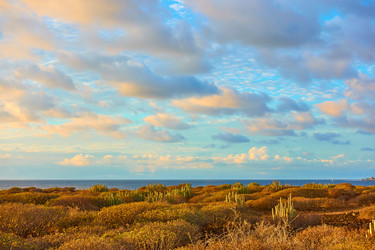 Similar image 22178554