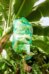 Similar image 22178567