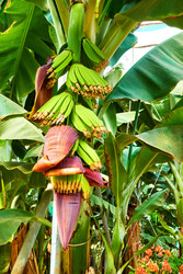 Similar image 22178570