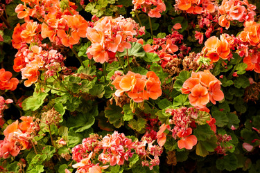 Similar image 22178573