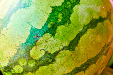 Similar image 22178587