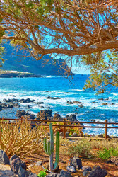 Similar image 22178589