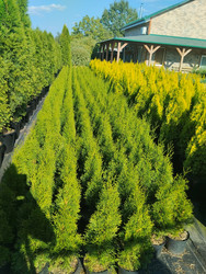 Similar image 22181228