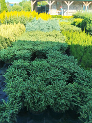 Similar image 22181229