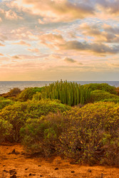 Similar image 22178146