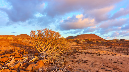 Similar image 22178148