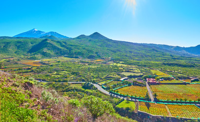 Similar image 22178606