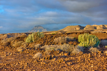 Similar image 22178634