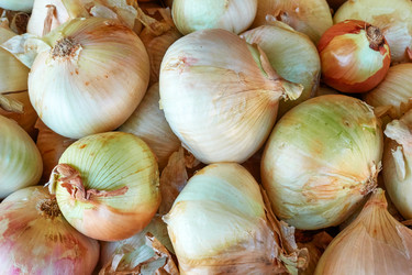 Similar image 22178892