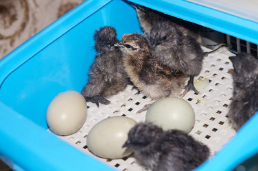 Similar image 22180365