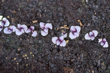 Similar image 22180900