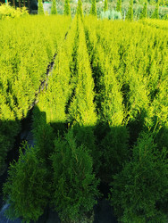 Similar image 22181230