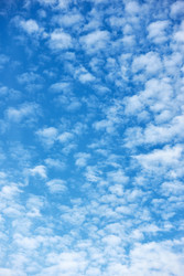 Similar image 22178960