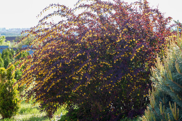 Similar image 22180796