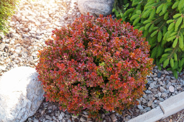 Similar image 22180799