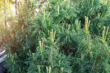 Similar image 22180800