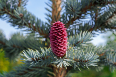 Similar image 22180801