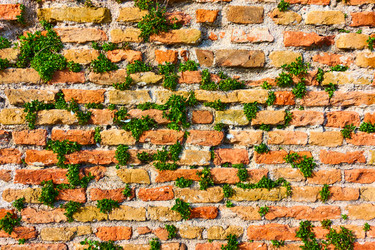 Similar image 22179010