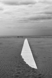 Similar image 22179040