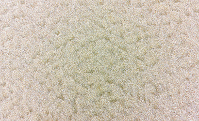 Similar image 22179059