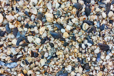 Similar image 22179086