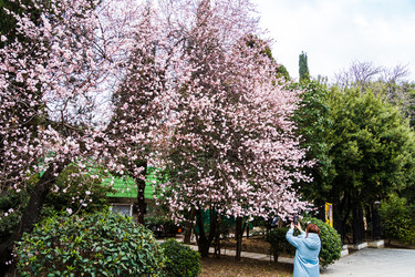 Similar image 22168702