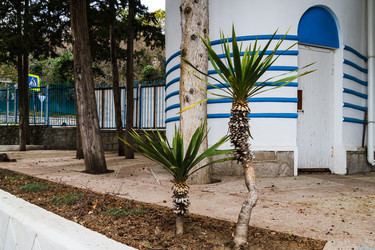 Similar image 22168703