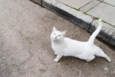 Similar image 22180366