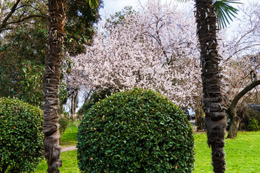 Similar image 22180371