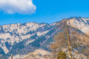 Similar image 22189305