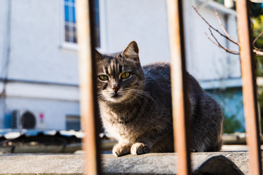 Similar image 22189306