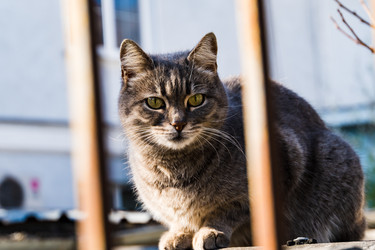 Similar image 22189308