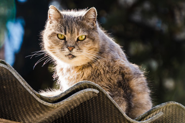 Similar image 22189310