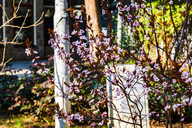 Similar image 22189311