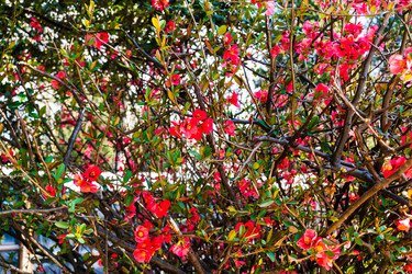 Similar image 22189312