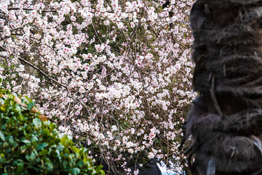 Similar image 22193580