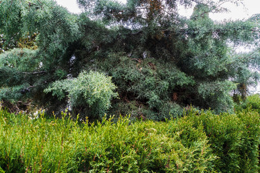 Similar image 22194156