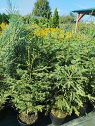 Similar image 22181231