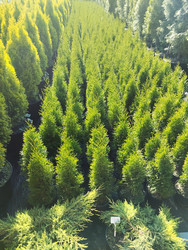 Similar image 22181232