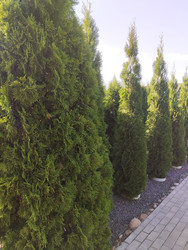 Similar image 22181233