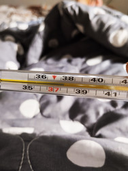 Similar image 22181237