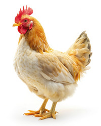 Similar image 22168276