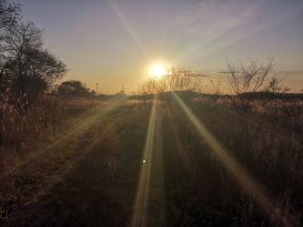 Similar image 22172601