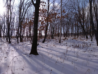 Similar image 22172603