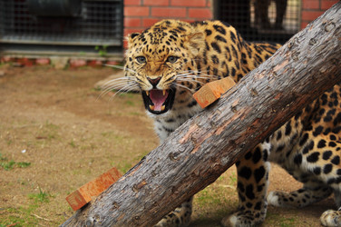 Similar image 22174107