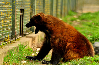 Similar image 22174108